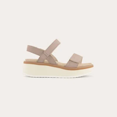 Naot Women's Meringue Wedge Sandal In Stone Nubuck In Multi