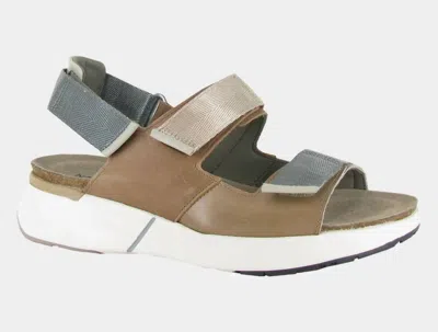Naot Women's Odyssey Arizona Leather In Tan Latte Brown Soft Ivory In Multi