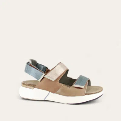 Naot Women's Odyssey Sandal In Arizona Tan/latte Brown/soft Ivory In Multi