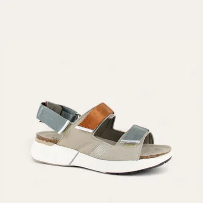 Naot Women's Odyssey Sandal In Beige Lizard/soft Beige/soft Chestnut/soft Silver In Multi