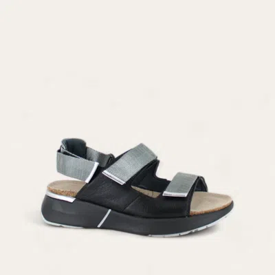 Naot Women's Odyssey Sandal In Soft Black/sterling/soft Silver In Multi