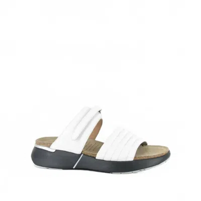Naot Women's Vesta Sandal In Soft White Leather In Multi