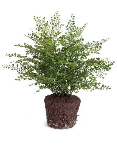 Napa Home & Garden 23in Maiden Hair Drop-in