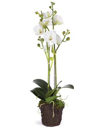 Napa Home & Garden 23in Phalaenopsis Drop-in Set In White