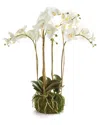 Napa Home & Garden 25in Phalaenopsis Orchid Bowl Drop-in In White
