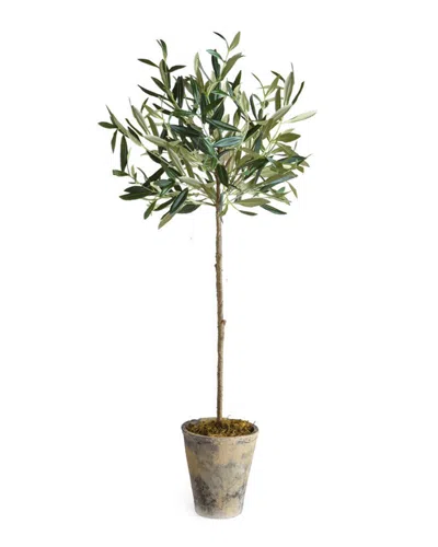 Napa Home & Garden 30in Olive Tree Potted