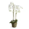 Napa Home & Garden 44in Phalaenopsis Drop-in In White