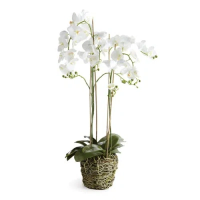NAPA HOME & GARDEN NAPA HOME & GARDEN 44" PHALAENOPSIS ORCHID DROP-IN ARTIFICIAL FAUX FLORAL FLOWER PLANT