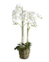 Napa Home & Garden 44in Phalaenopsis Drop-in
