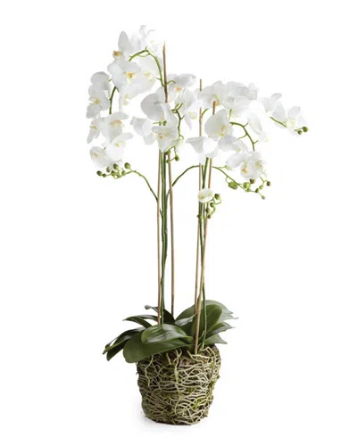 Napa Home & Garden 44in Phalaenopsis Drop-in