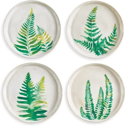 Napa Home & Garden 8.5" Fern Study Dinner Plates Set Of 4 In Green