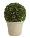 Napa Home & Garden 8in Ball In Pot