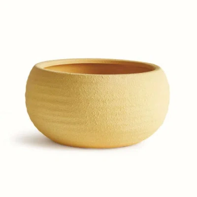 Napa Home & Garden Anderson Decorative Bowl In Neutral