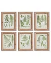Napa Home & Garden Assorted Frond Study Petite Prints