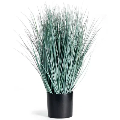 Napa Home & Garden Blue Oat Grass Drop-in 32"