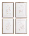 Napa Home & Garden Blush Botanical Study Prints In Blush