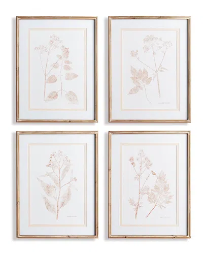 Napa Home & Garden Blush Botanical Study Prints