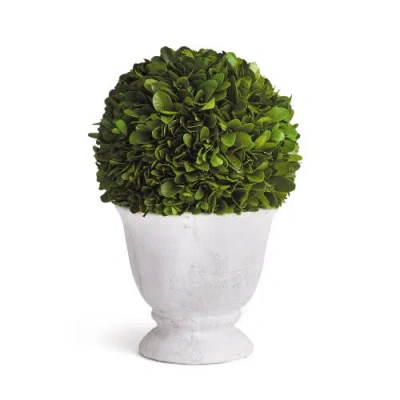 Napa Home & Garden Boxwood Ball Topiary In Pot In Green