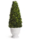 Napa Home & Garden Boxwood Cone Topiary In Pot