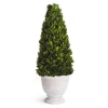 Napa Home & Garden Boxwood Cone Topiary In Pot In Green