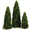Napa Home & Garden Boxwood Mini Trees Set Of 3 In Green
