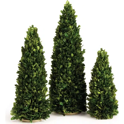 Napa Home & Garden Boxwood Mini Trees Set Of 3 In Green