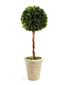 Napa Home & Garden Boxwood Single Sphere Topiary