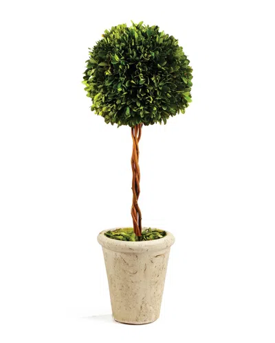 Napa Home & Garden Boxwood Single Sphere Topiary