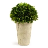 Napa Home & Garden Three Quarter Ball In Tom Pot In Green