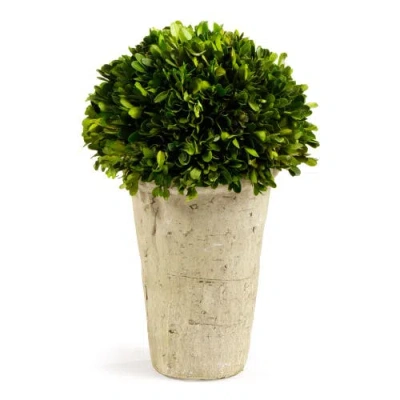 NAPA HOME & GARDEN NAPA HOME & GARDEN BOXWOOD THREE-QUARTER FAUX (FAKE) BALL IN POT