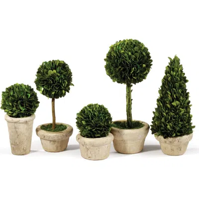 NAPA HOME & GARDEN NAPA HOME & GARDEN BOXWOOD TOPIARIES FAUX (FAKE) IN POTS SET OF 5
