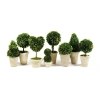 Napa Home & Garden Set Of 8 Topiaries In Green
