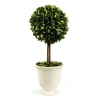 Napa Home & Garden Boxwood Topiary In Beaded White Pot In Green