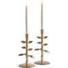 Napa Home & Garden Brier Taper Candle Holders Set Of 2 In Gold