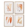 Napa Home & Garden Coral Reef Study Set Of 4 In Multi