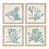 Napa Home & Garden Coral Silhouettes In Soft Green Set Of 4 In Green