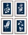 Napa Home & Garden Cyano Botanical Leaf Study Set