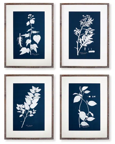 Napa Home & Garden Cyano Botanical Leaf Study Set