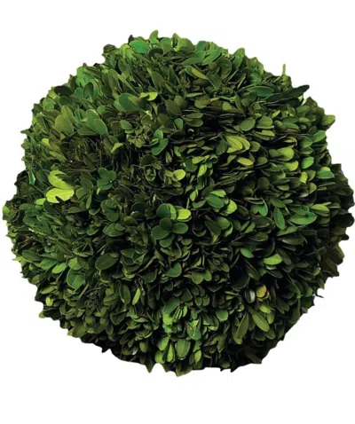 Napa Home & Garden English Boxwood, 12-inch In Green