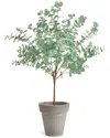 Napa Home & Garden Eucalyptus Tree Drop-in 49in In Green