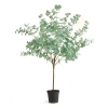 Napa Home & Garden Eucalyptus Tree Drop-in In Green