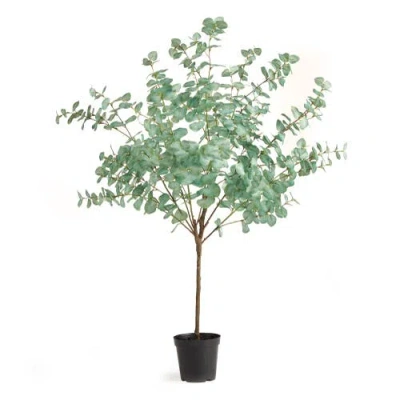 Napa Home & Garden Eucalyptus Tree Drop-in In Green