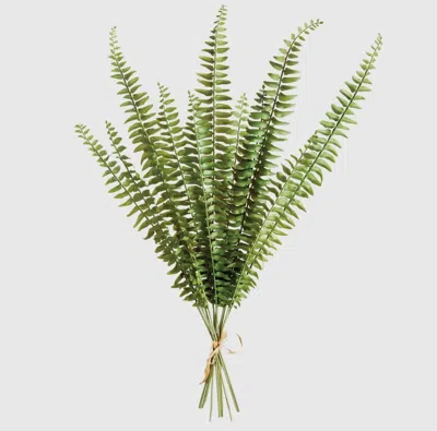 Napa Home & Garden Fern Stems In Green