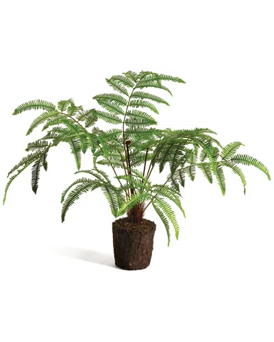 Napa Home & Garden Forest Fern Drop-in