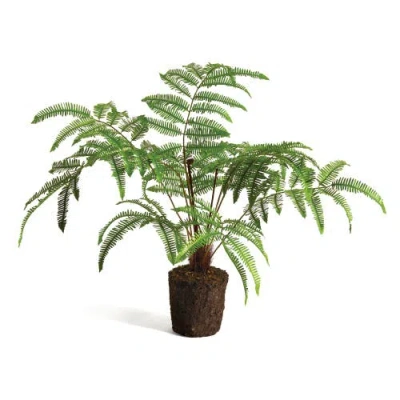 NAPA HOME & GARDEN NAPA HOME & GARDEN FOREST FERN FAUX (FAKE) DROP-IN 29.5"