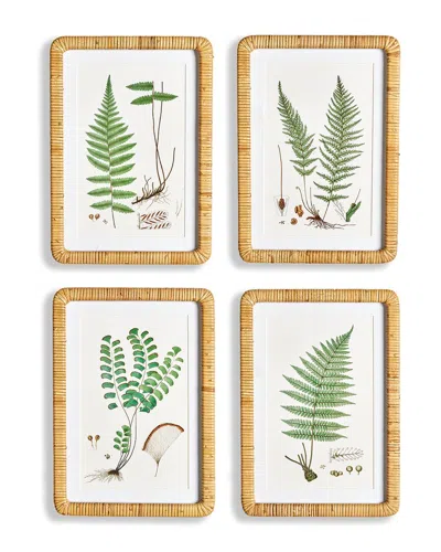 Napa Home & Garden Forest Fern Prints, Set Of 4 In Green