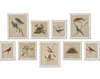 Napa Home & Garden Framed Aviary Bird & Nest Habitat Prints
