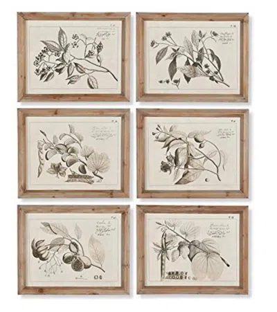 Napa Home & Garden Fruit Bearing Brnch Illustrtns St/6 Wall Art In Neutral