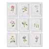 Napa Home & Garden Garden Meadow Study Set Of 9 In Multi