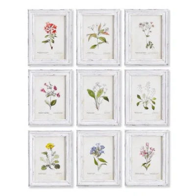 NAPA HOME & GARDEN NAPA HOME & GARDEN GARDEN MEADOW STUDY SET OF 9